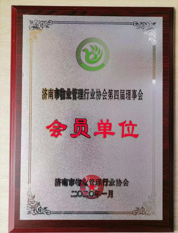 圖片13